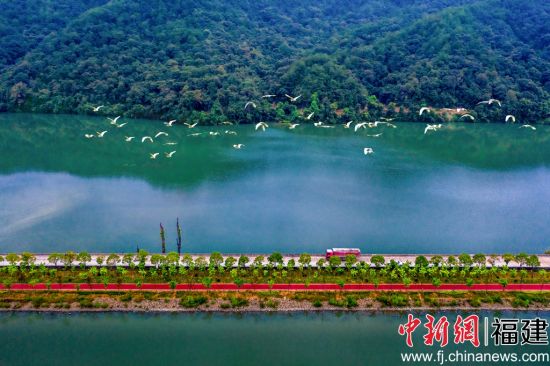  圖為三明市將樂縣?？诖宄Ｔ春挚叼B(yǎng)慢道。